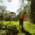 3 Essential Elements for Tree Survival