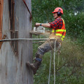 What are the duties of an arborist?