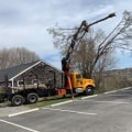 How Long Does It Take for a Professional Tree Service to Complete a Job?