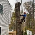 Do tree services need to be licensed in pa?