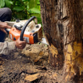 How do i get more leads for tree service?