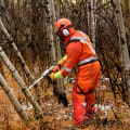 What ppe is needed for tree cutting?