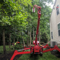Grow Your Tree Service Business: 10 Tips to Get More Work