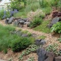 How to Find a Reputable Tree Service