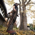 7 Tips to Grow Your Tree Service Business