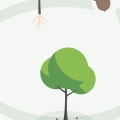 What is a Hazard Tree Assessment and How Can It Help You?