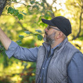 How do you prolong the life of a tree?