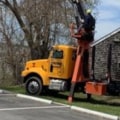 Tree Service in Extreme Weather Conditions: What You Need to Know