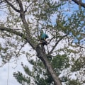 What is a tree service person called?