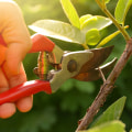 What is the best tree pruning method?