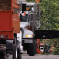 Safety Considerations for Professional Tree Services