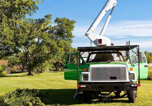How Long Does It Take for a Professional Tree Service to Complete a Job?