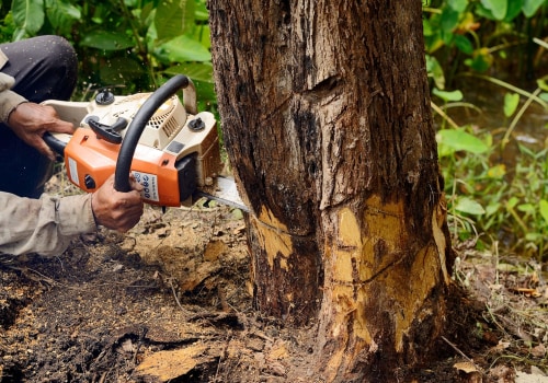 How do i get more leads for tree service?