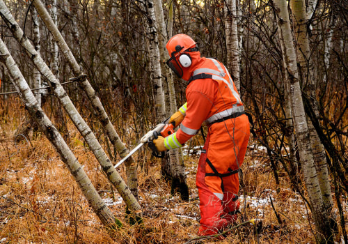 What ppe is needed for tree cutting?