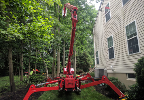 Grow Your Tree Service Business: 10 Tips to Get More Work