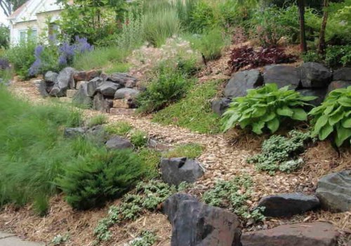 How to Find a Reputable Tree Service