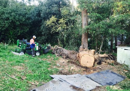 Is tree business profitable?