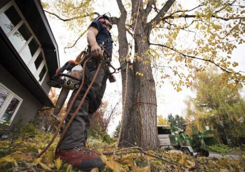 7 Tips to Grow Your Tree Service Business