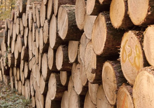 What is the job title for cutting trees?