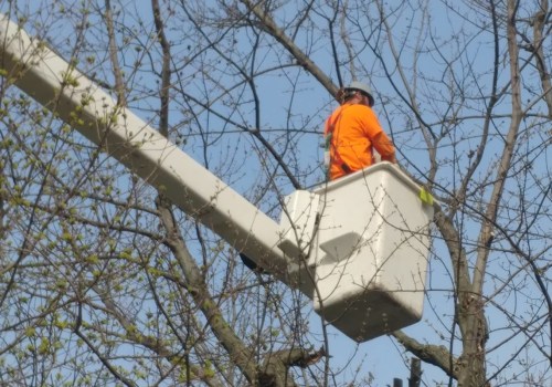 What is the Definition of a Tree Service?