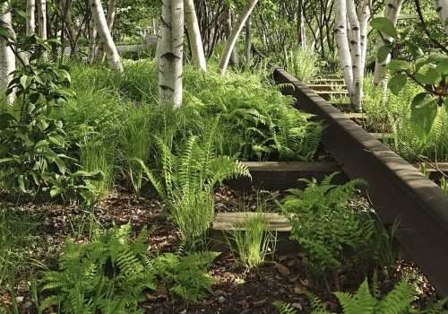 What elements do trees need?