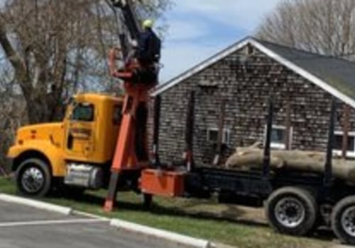 Tree Service in Extreme Weather Conditions: What You Need to Know
